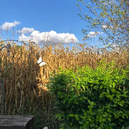 Affittacamere St Pasha 3*