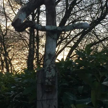 Affittacamere St Pasha Paillé