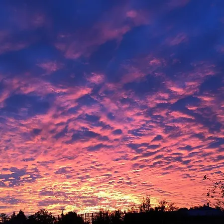 St Pasha Affittacamere 3*